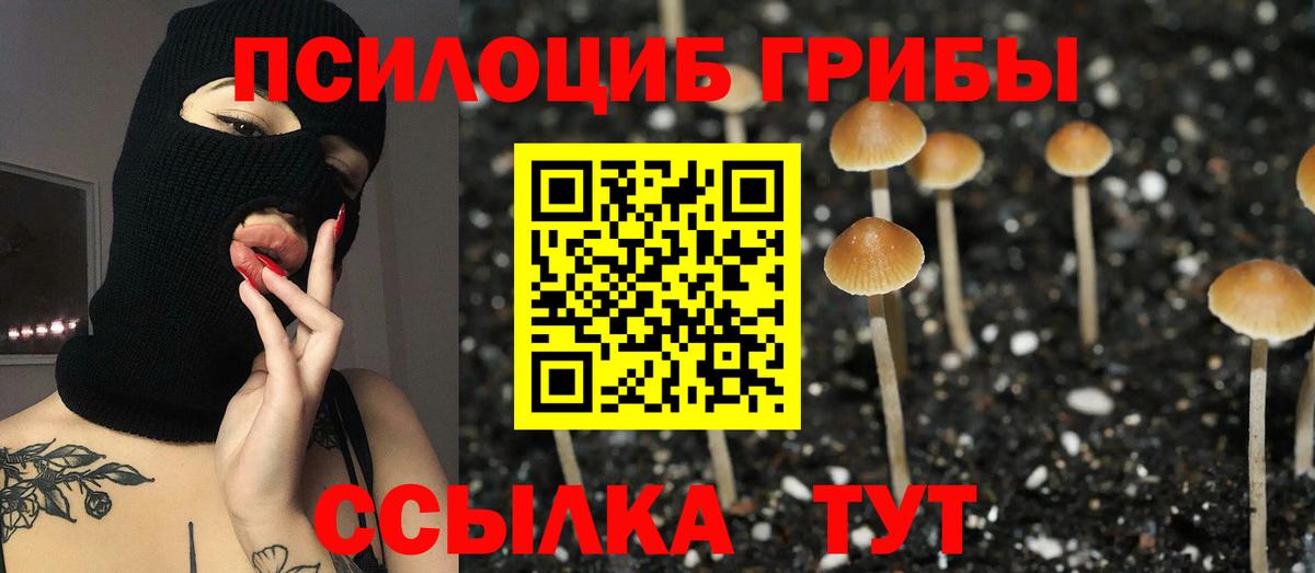 Псилоцибиновые грибы MAGIC MUSHROOMS Прохладный