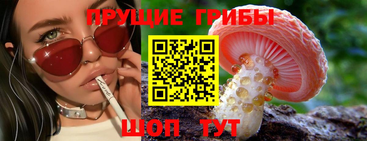 Прохладный  где продают наркотики  Вход с VPN  Псилоцибиновые грибы Psilocybine cubensis  Галлюциногенные грибы Cubensis 